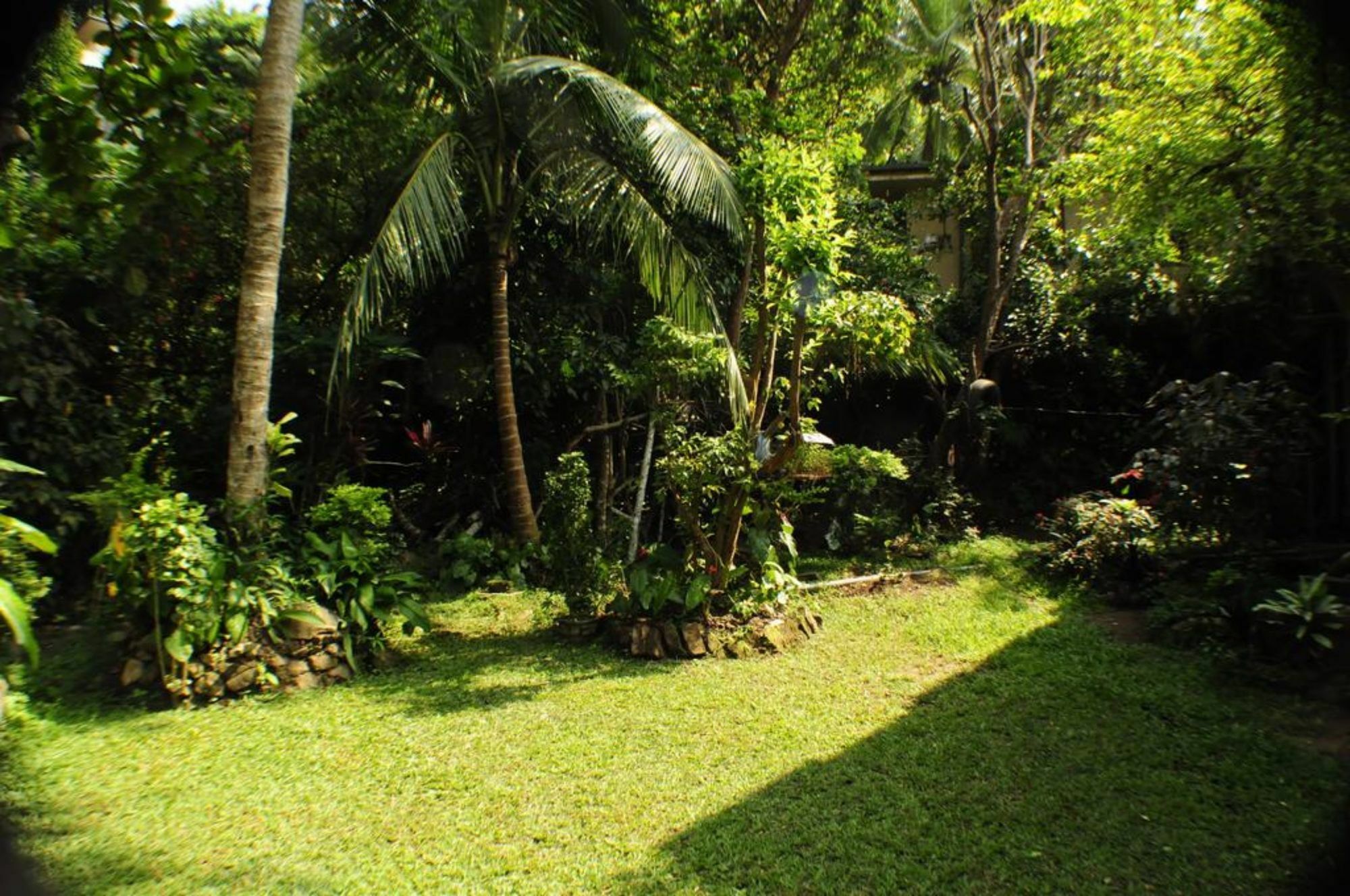 Kandy Shady Trees Villa Εξωτερικό φωτογραφία