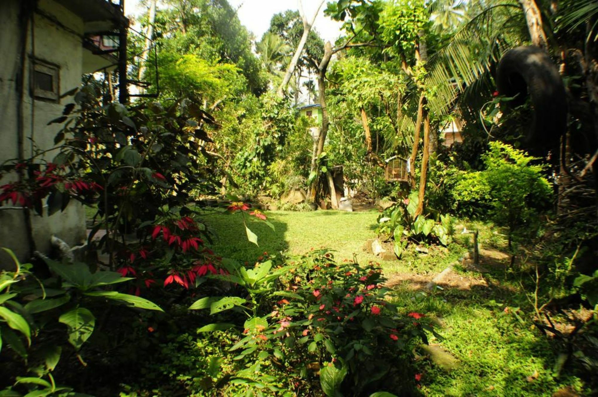 Kandy Shady Trees Villa Εξωτερικό φωτογραφία