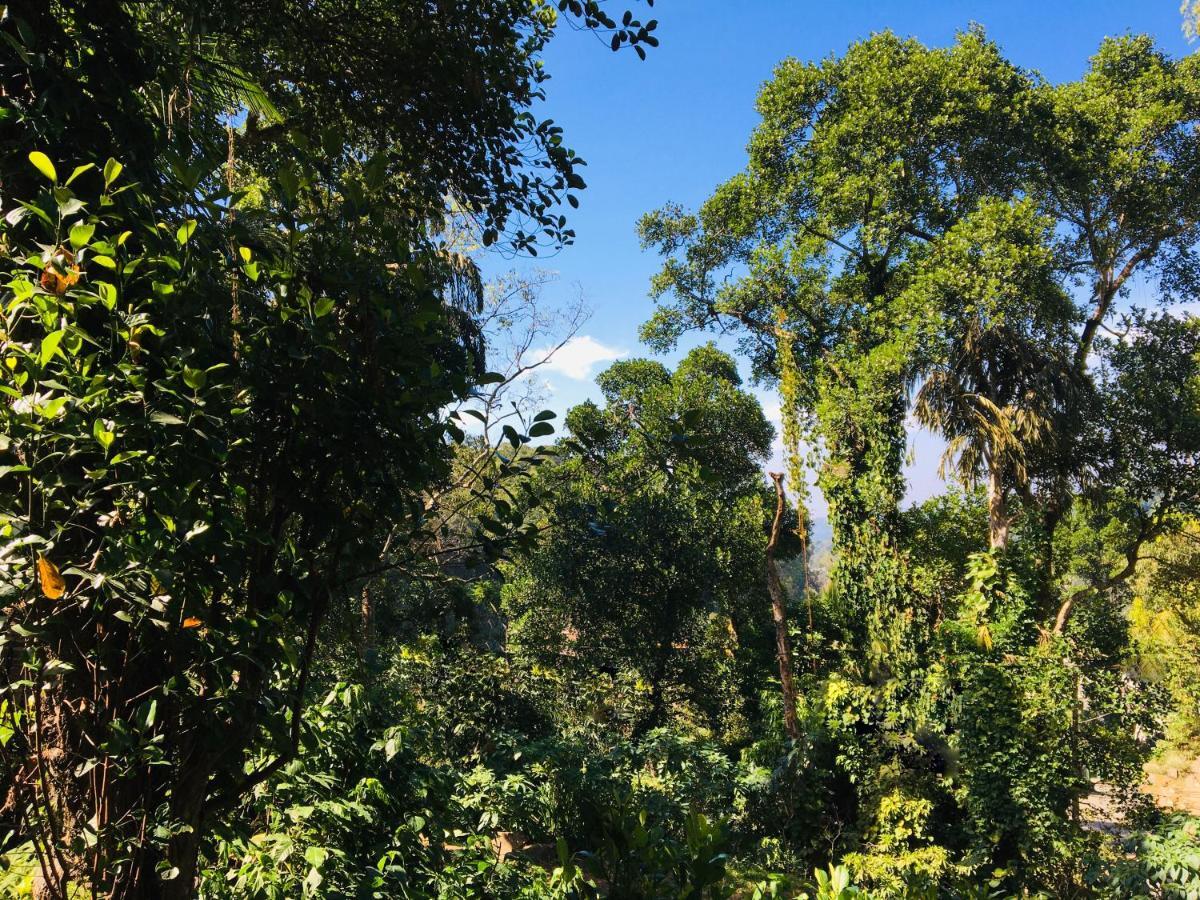 Kandy Shady Trees Villa Εξωτερικό φωτογραφία